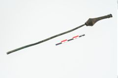 Foto von Bronzenadelspitzenschoner (NHMW-PRAE-025145)